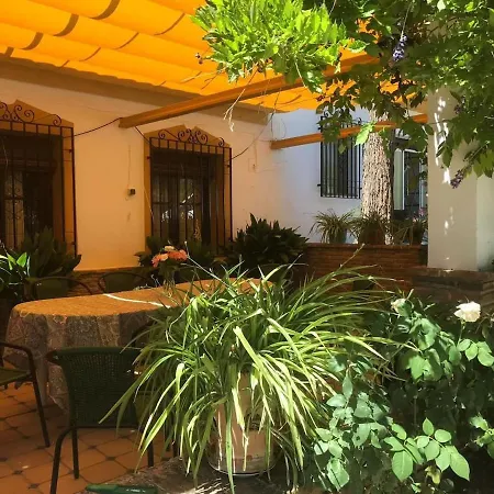 Paredejas Del Rey Priego De Cordoba